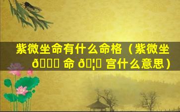 紫微坐命有什么命格（紫微坐 🐅 命 🦆 宫什么意思）